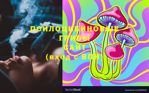индика Зеленодольск
