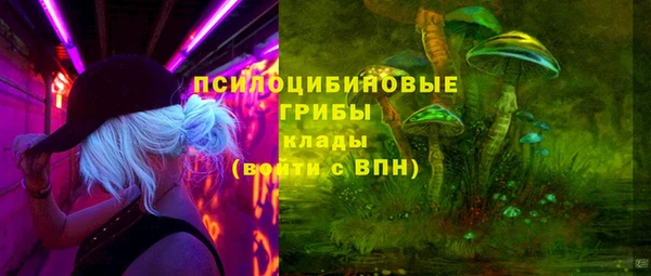 мяу мяу мука Заволжск