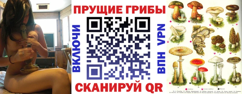Псилоцибиновые грибы Psilocybine cubensis  где найти наркотики  Тотьма 